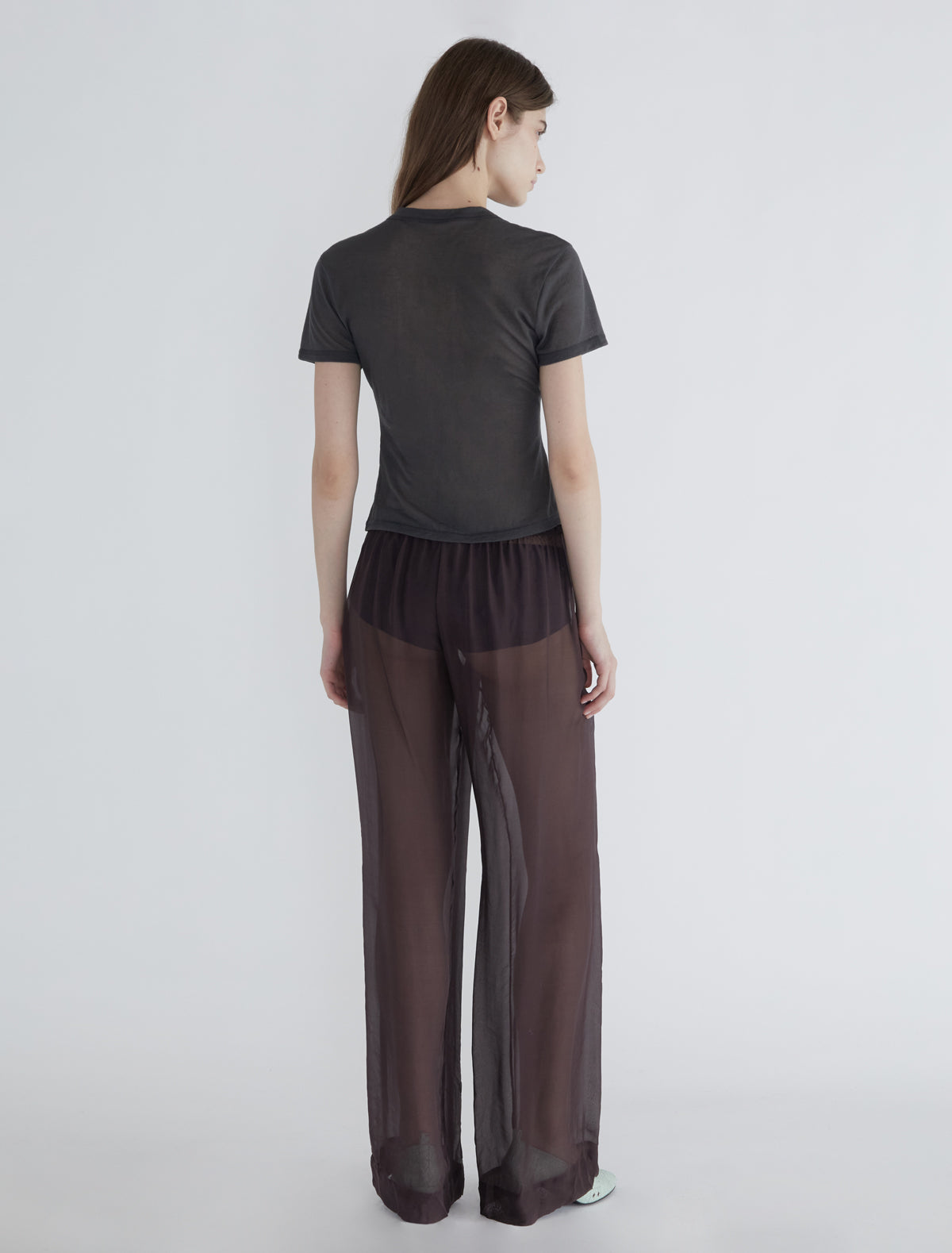 no 2593 / Soph