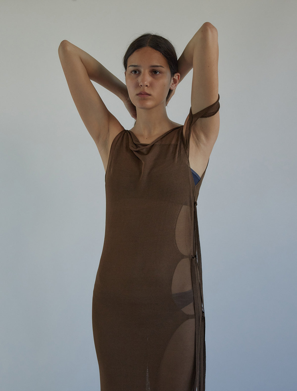 no 2496 / Hedda