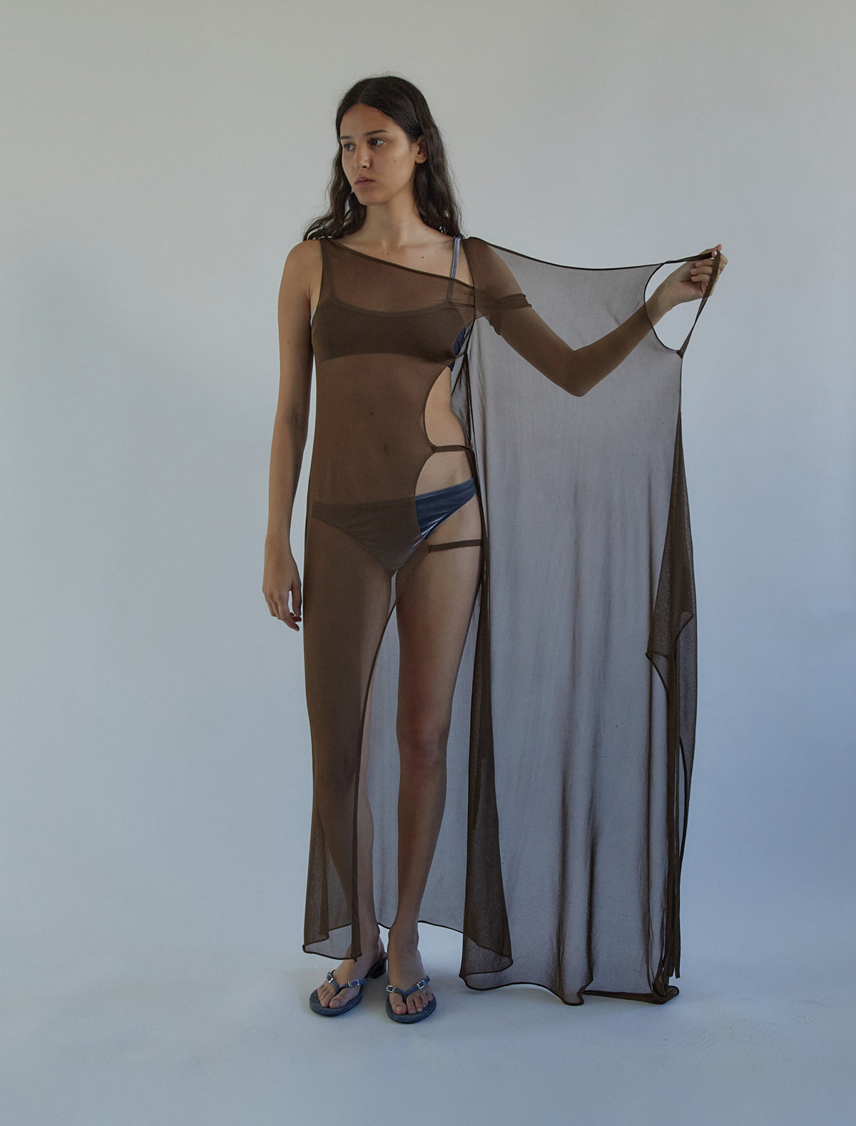 no 2496 / Hedda