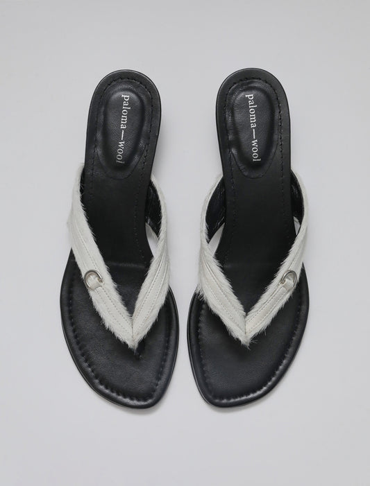 no 2543 / Felipa