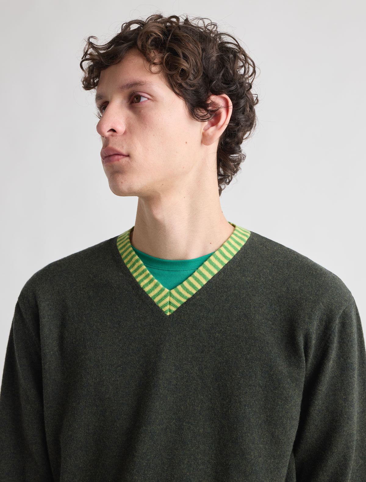 Lani soft wool v neck sweater classic look green