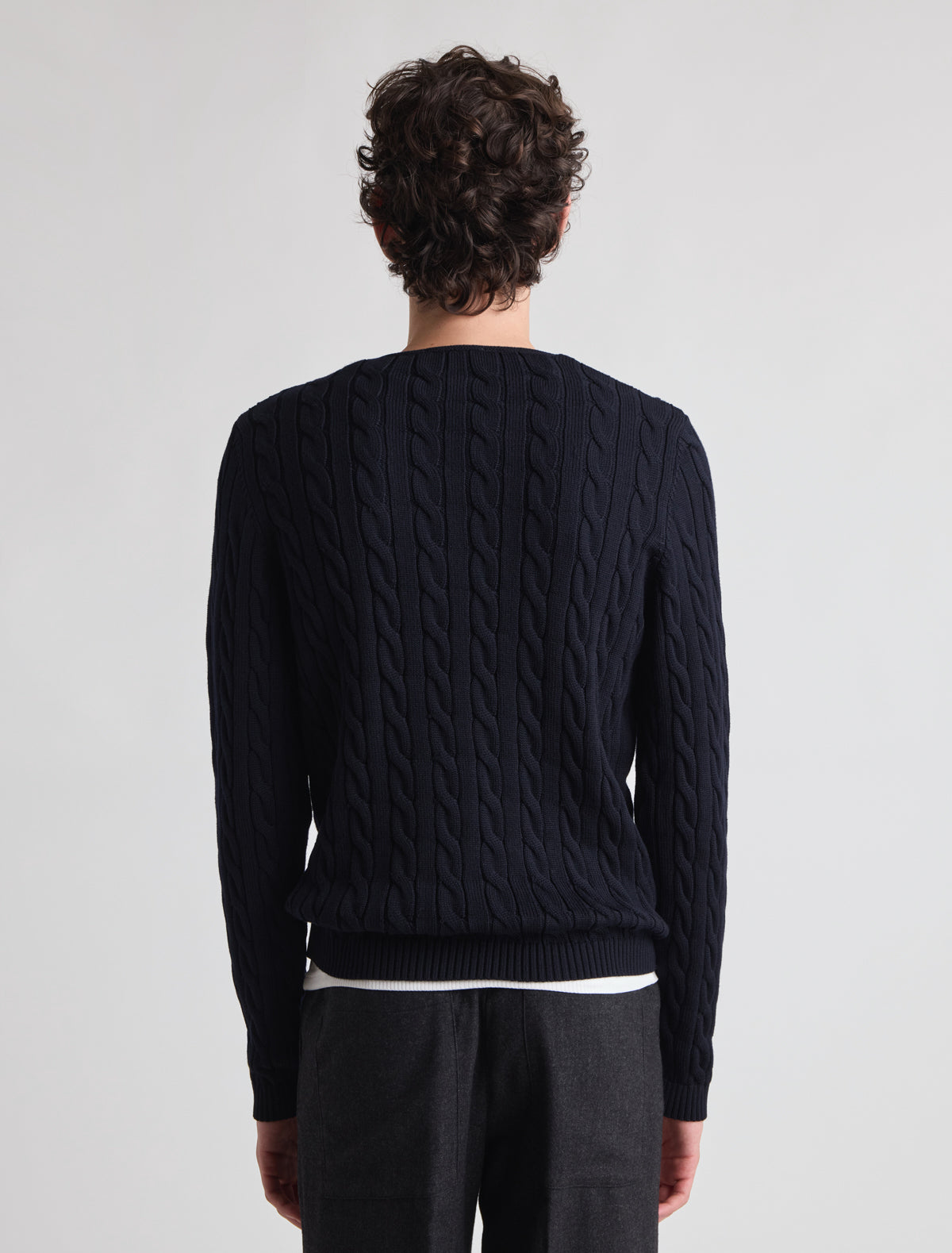 no 3095 / Lemur B