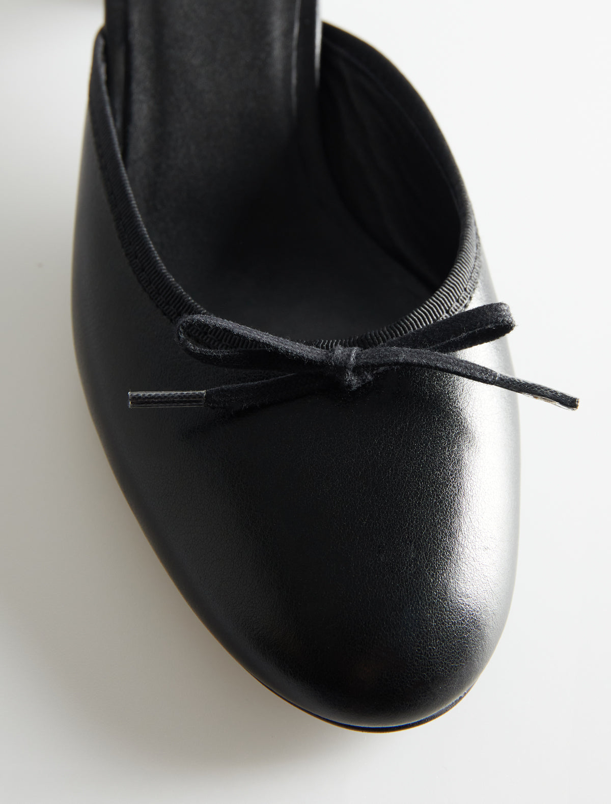 no 2831 / Petra Mule