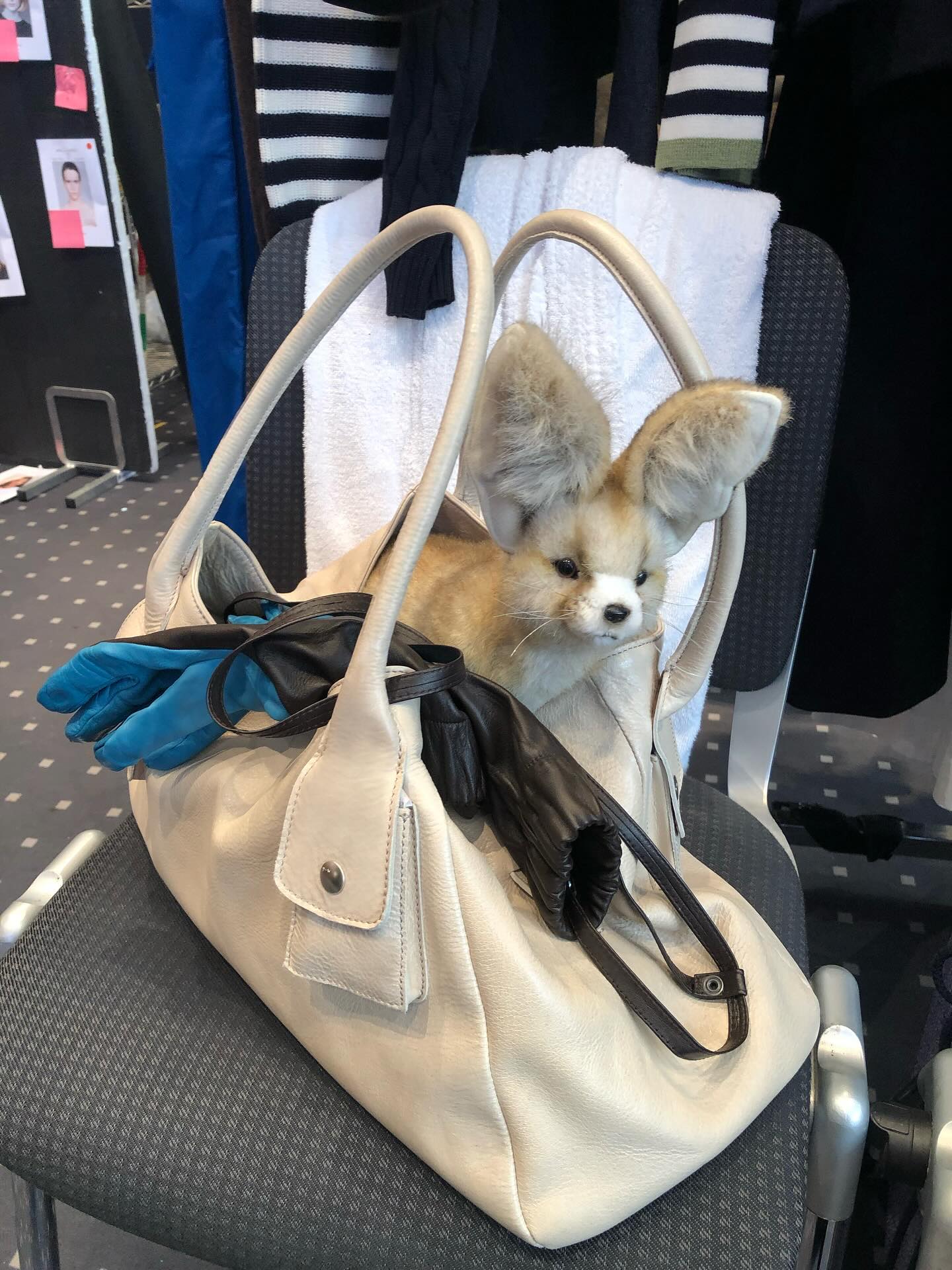 Emotional support animals with Fumiko Imano – paloma wool