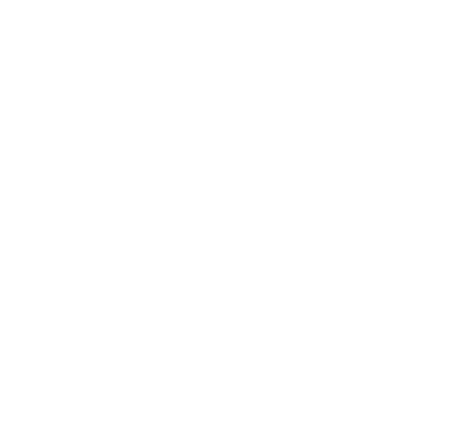 White Mirror logo